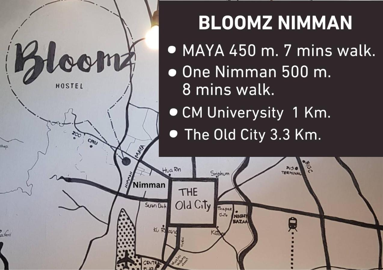 Hostel Bloomz *
