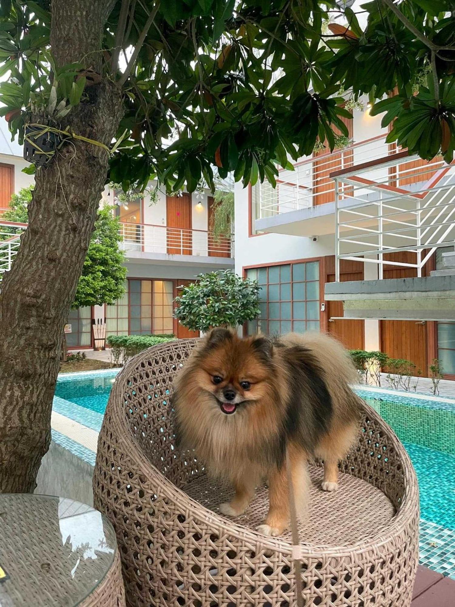 Four O'clock 3* Chiang Mai