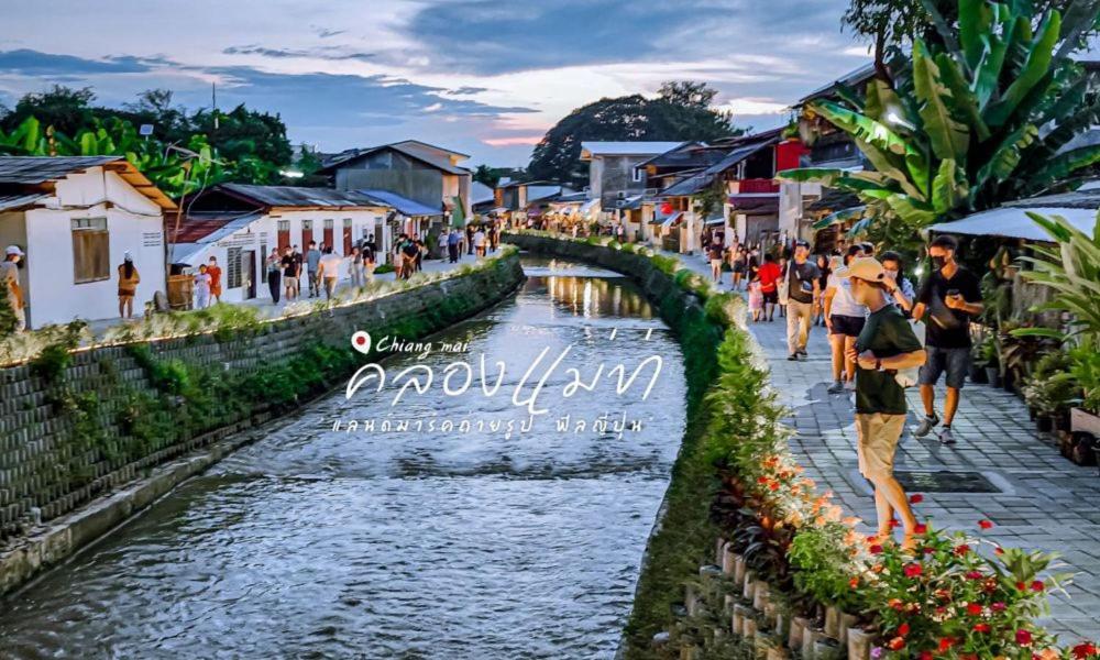 Born Chiang Mai