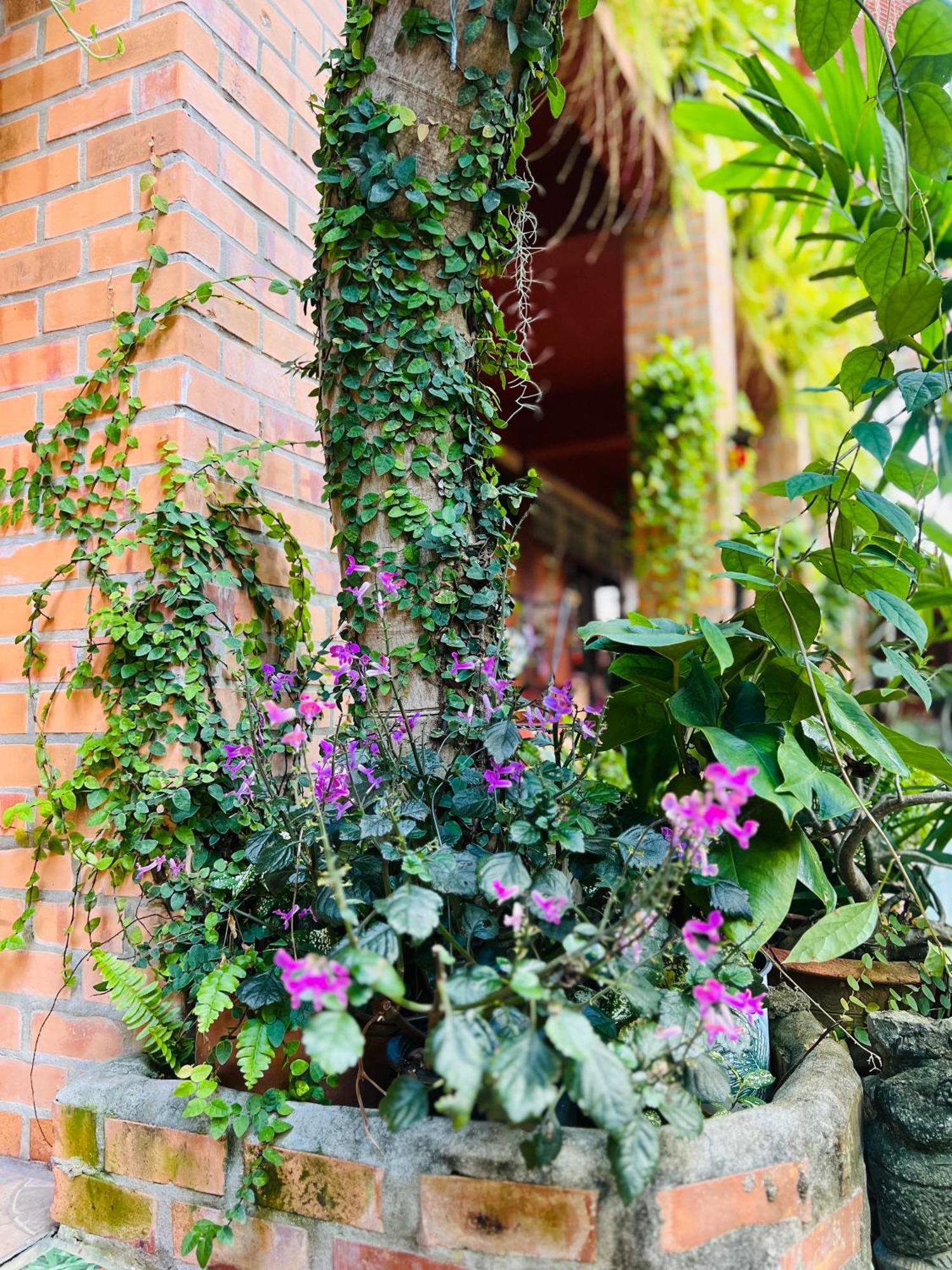 Boutique House Nipha