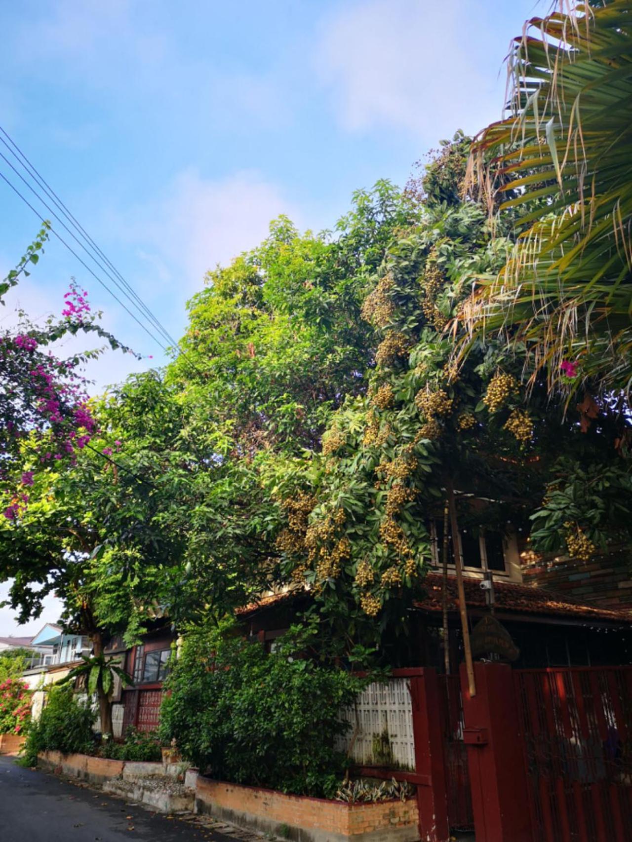 Boutique House Nipha Homestay Chiang Mai