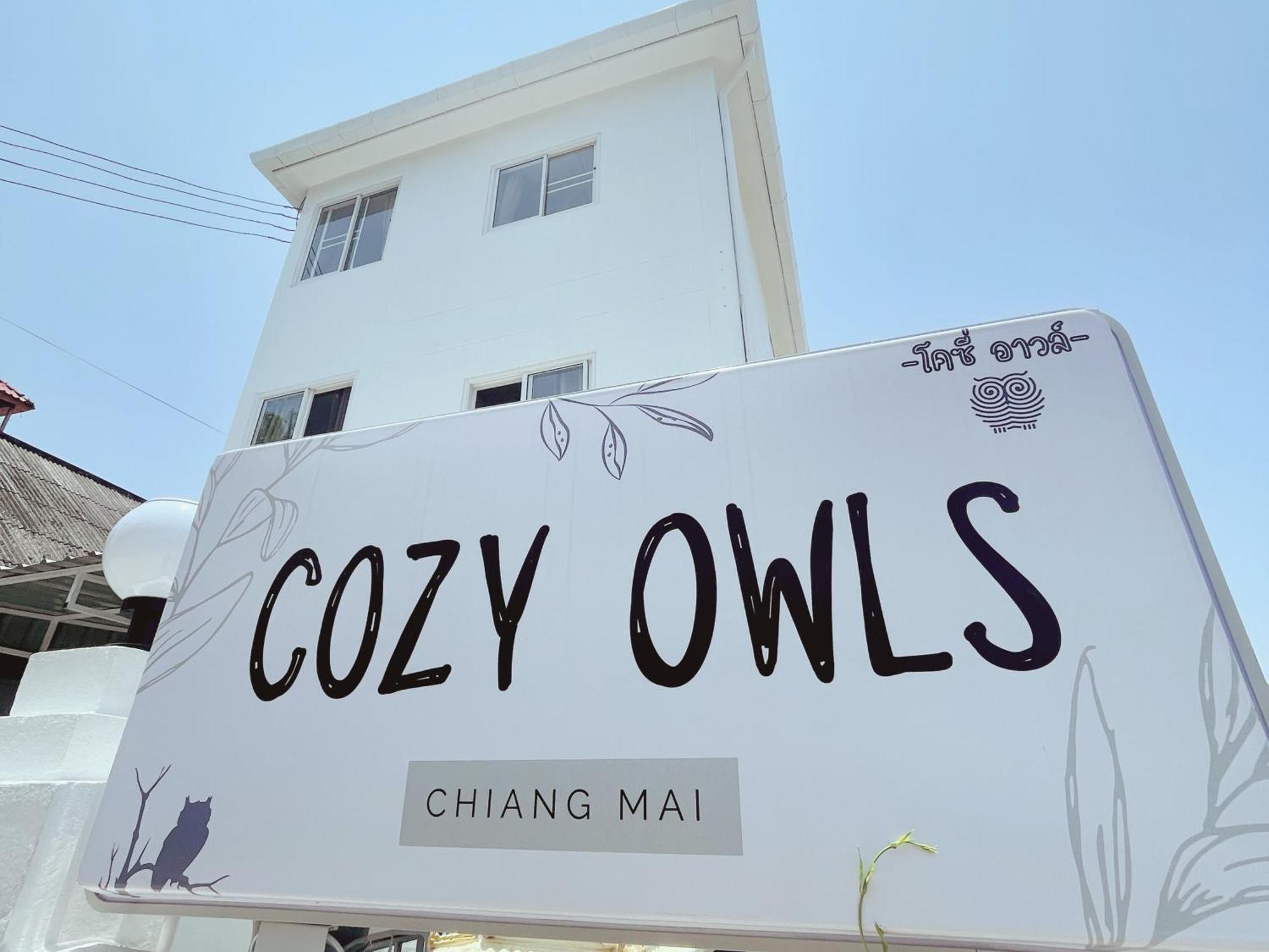 Cozy Owls * Chiang Mai