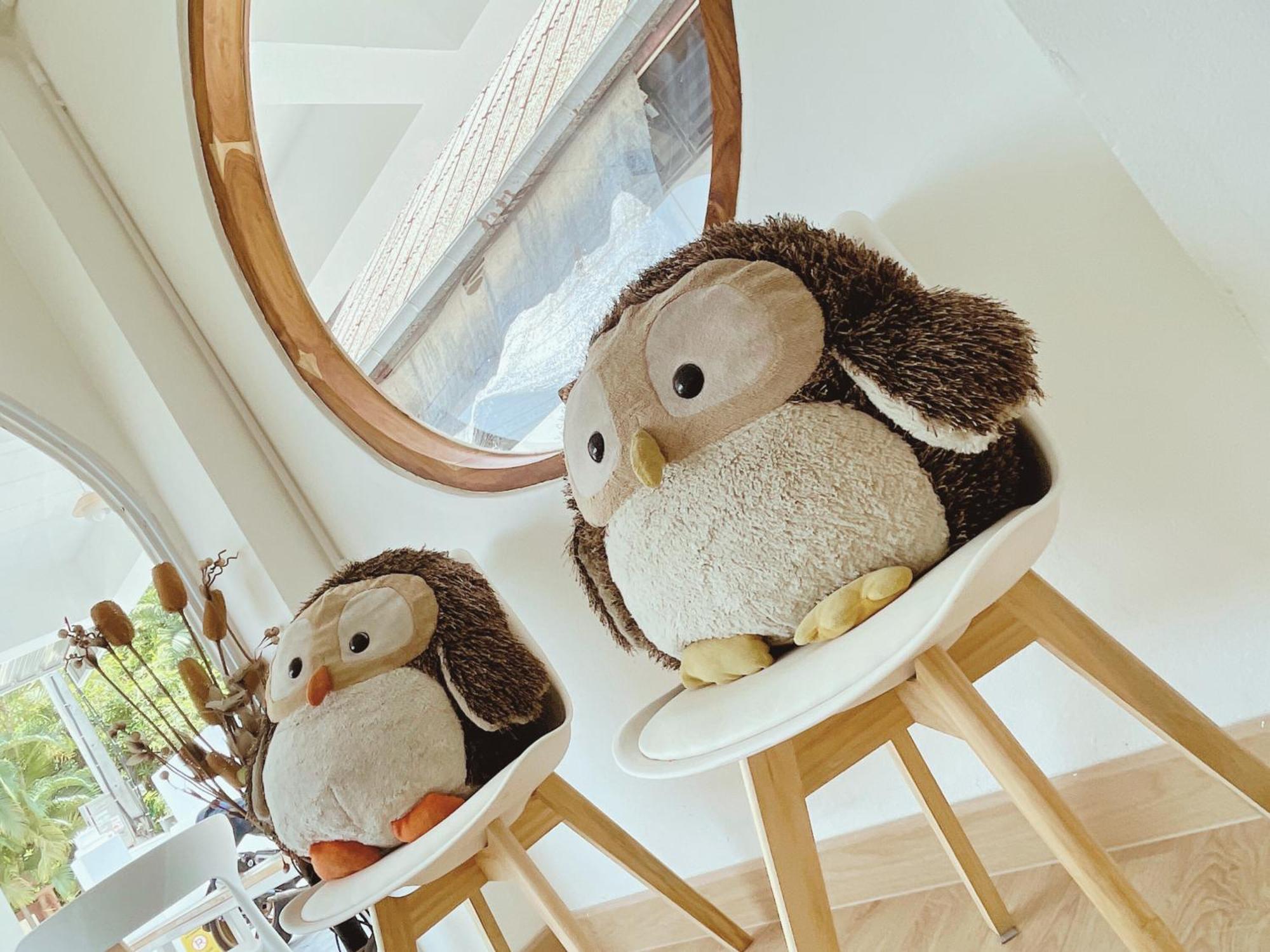 Cozy Owls Apartment Chiang Mai