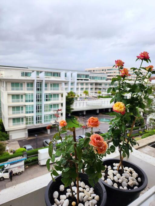 Nimmanhaemin, Airport, Chiangmai *