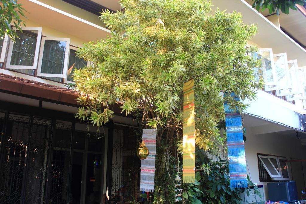 Homestay Boutique House Nipha *