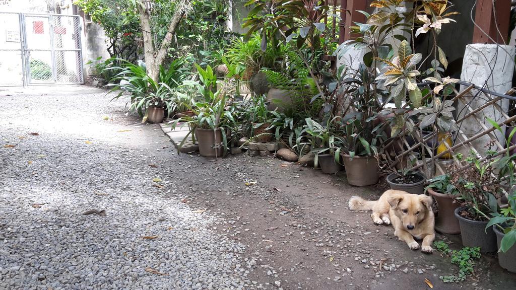 Guest house Baan Songjum Chiang Mai
