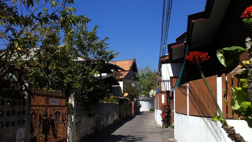 Tiger House
