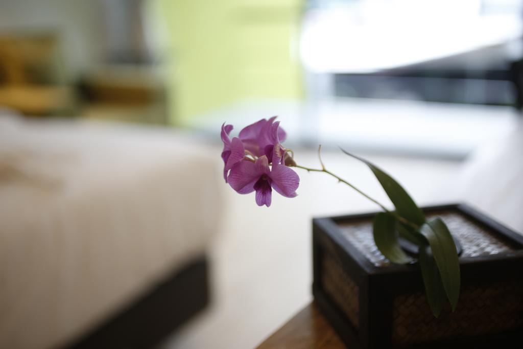 The White Elephant Guest house