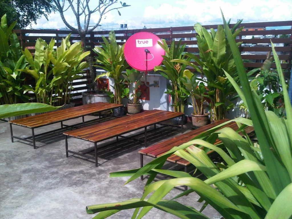 Junior House Hostel Chiang Mai