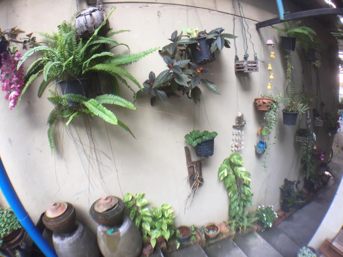 Baan Janrapee Homestay *