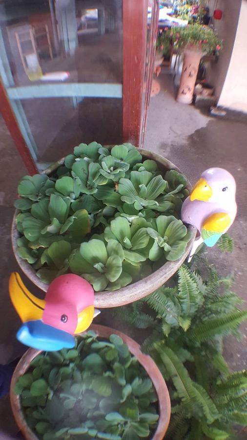 Baan Janrapee Homestay Chiang Mai