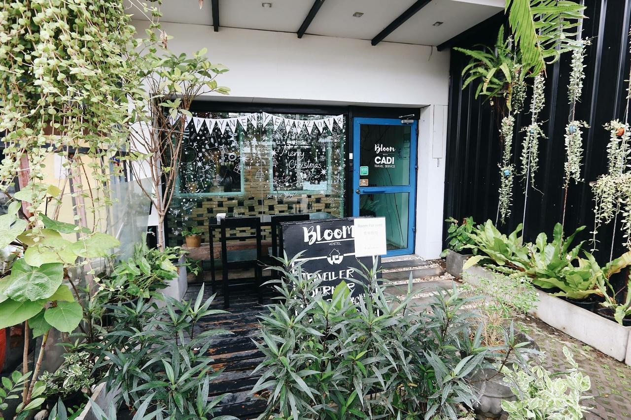 Bloomz * Chiang Mai