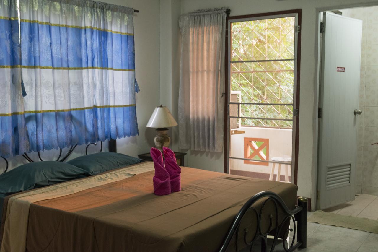 Hostel Junior House