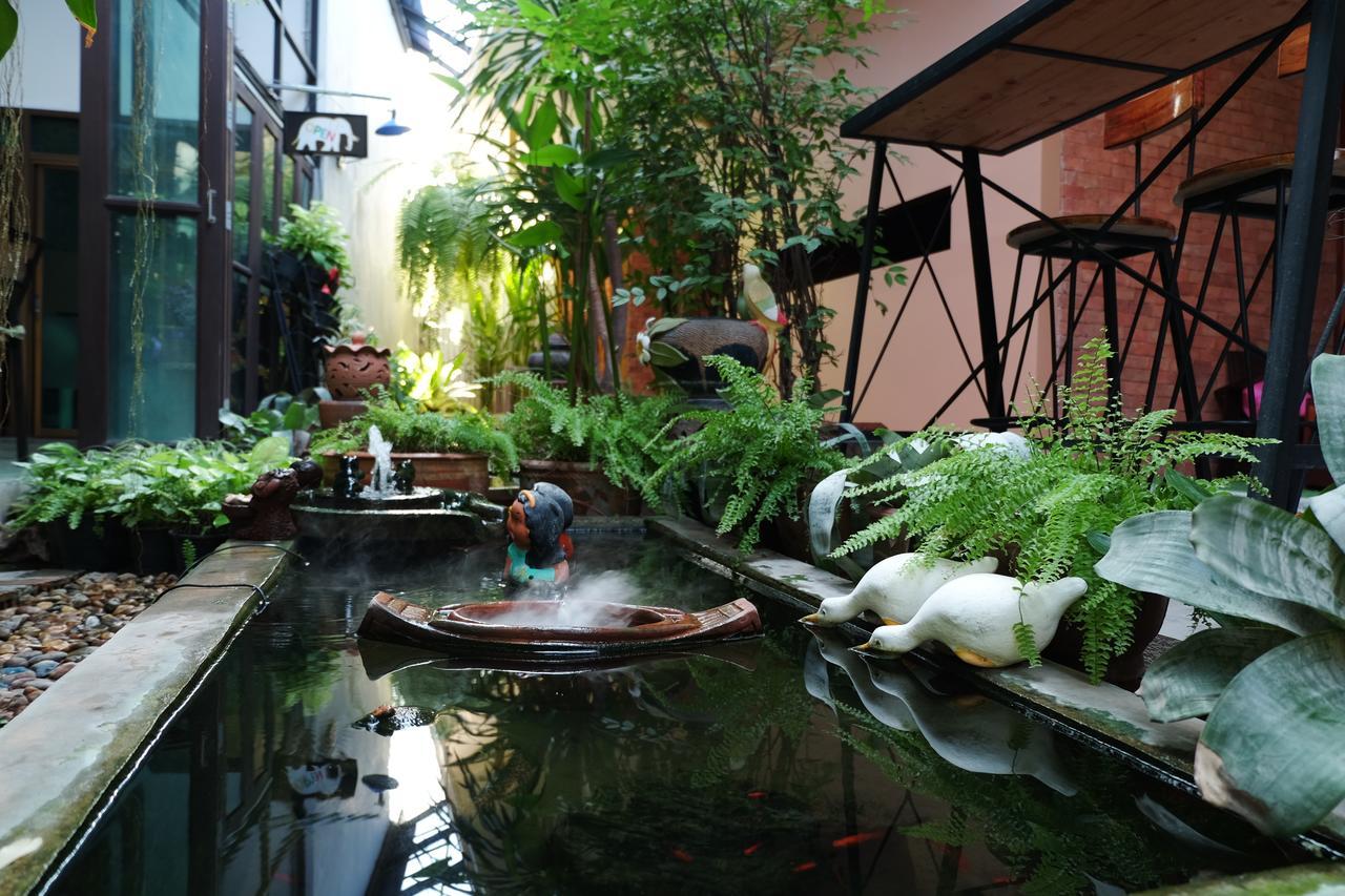 Guest house The White Elephant Chiang Mai
