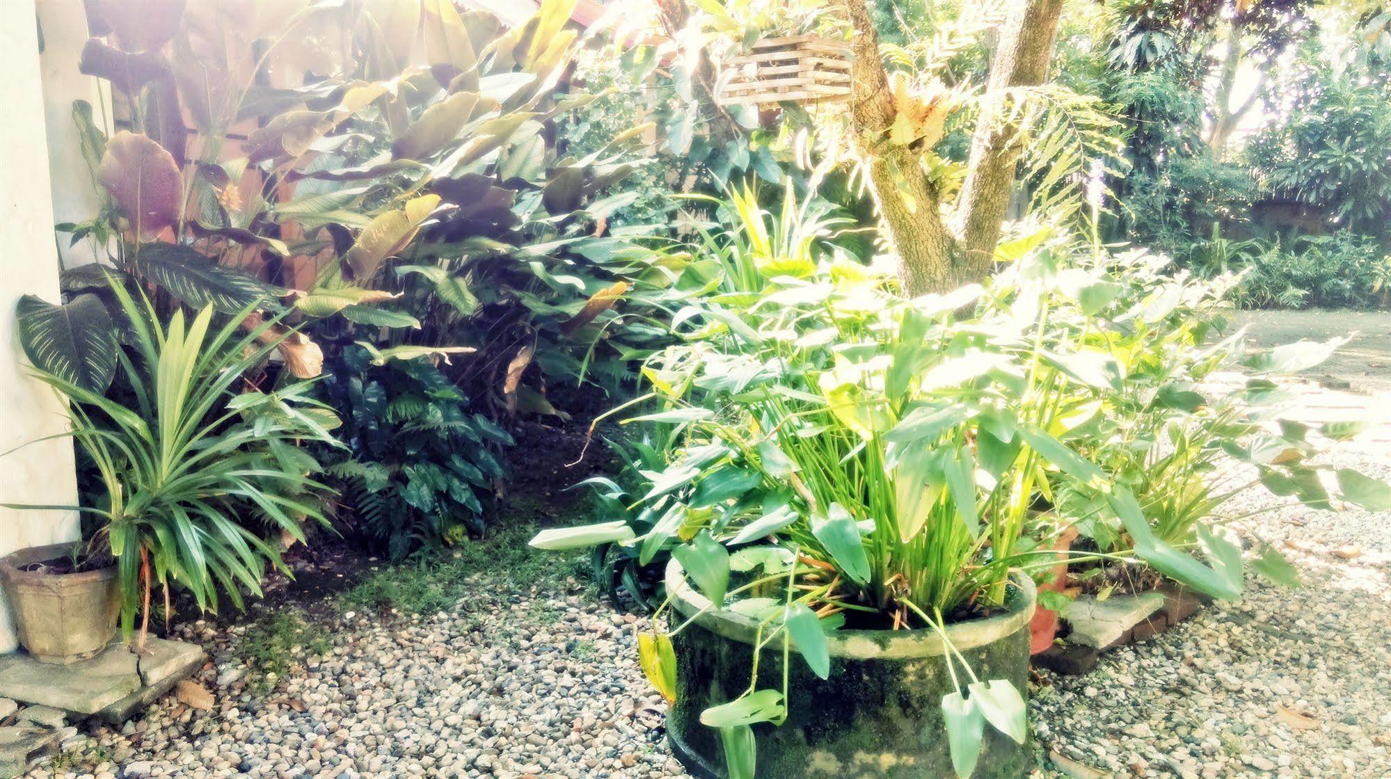 Baan Songjum Guest house *