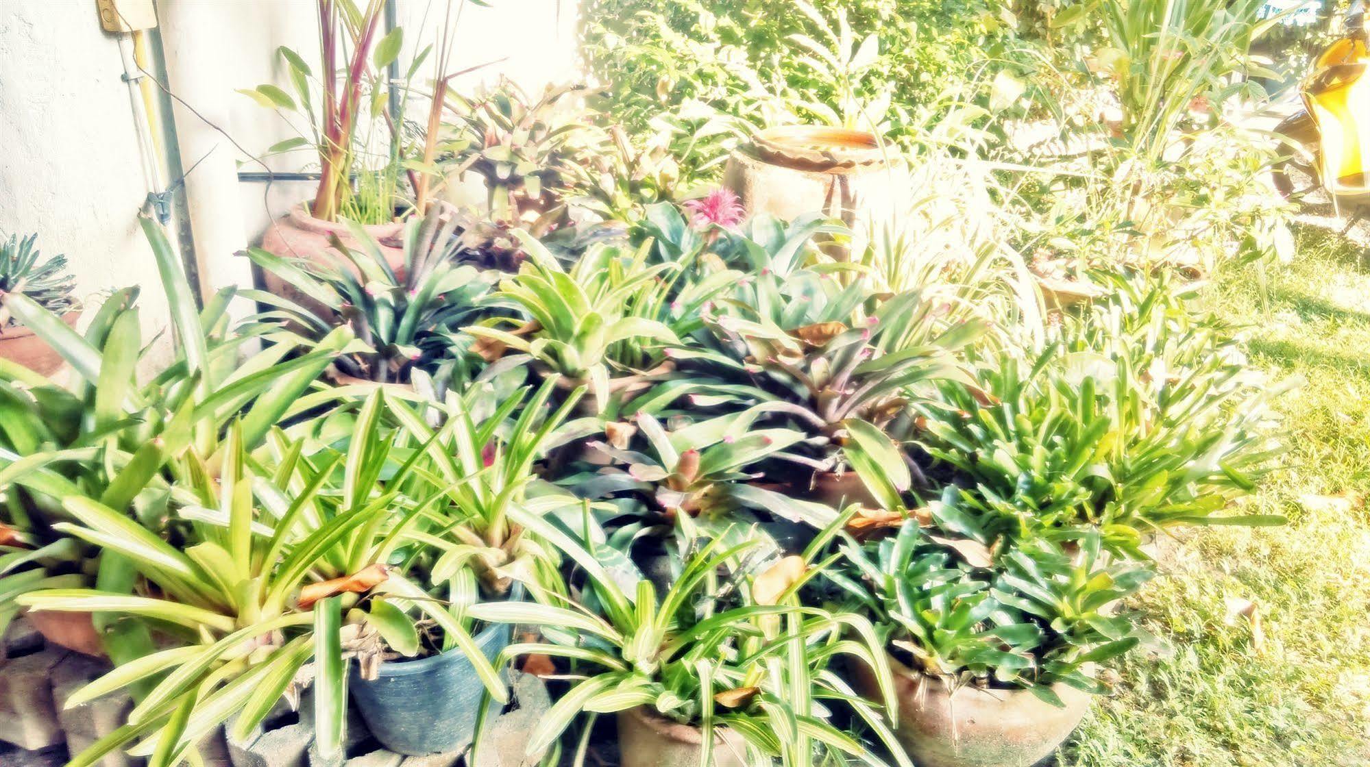 Guest house Baan Songjum *