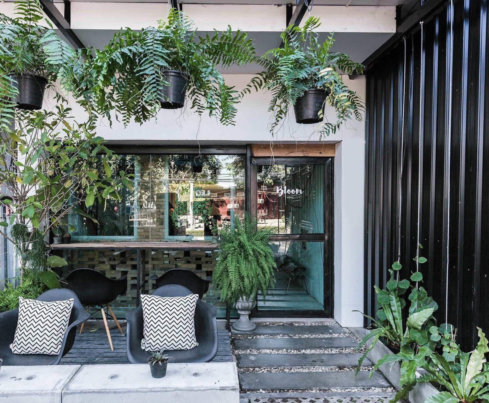 Bloomz * Chiang Mai
