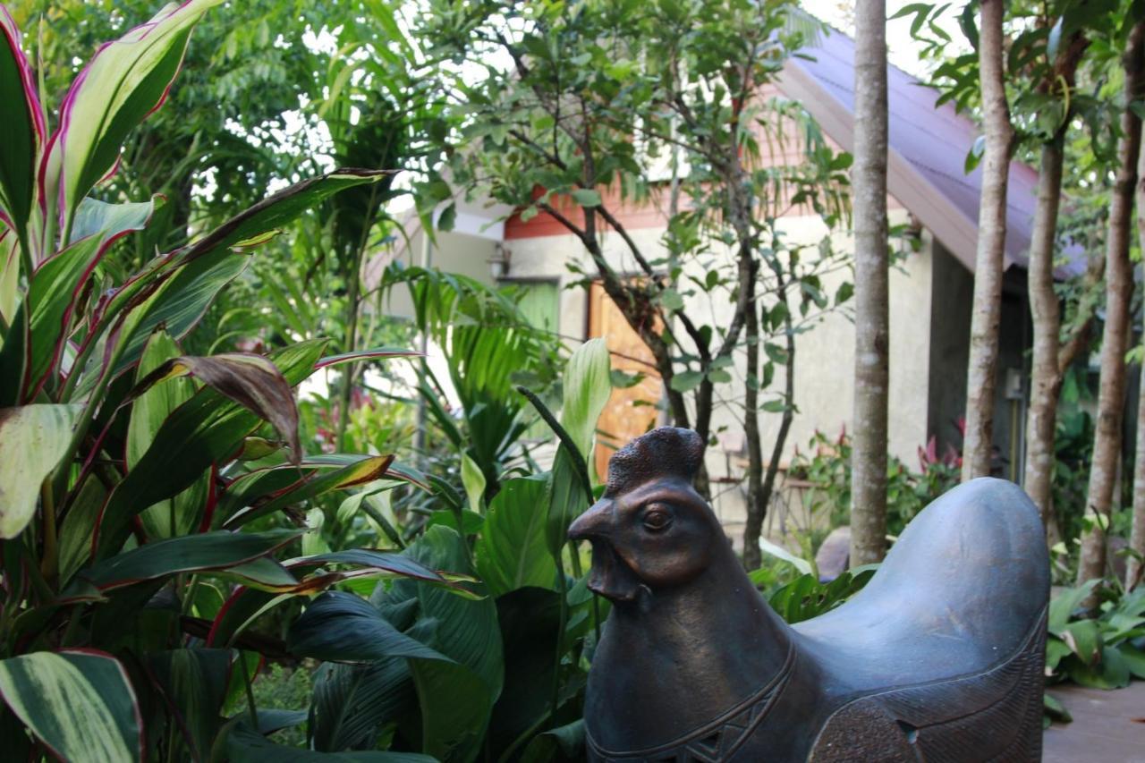 Bed & Breakfast Tasana Garden