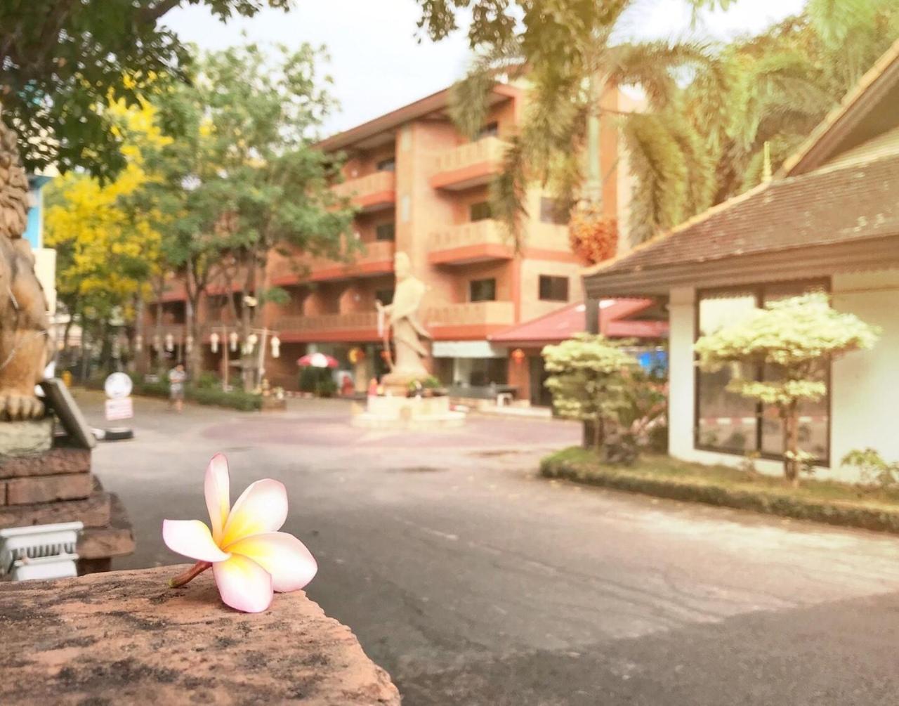 Nim Seng Chiang Mai