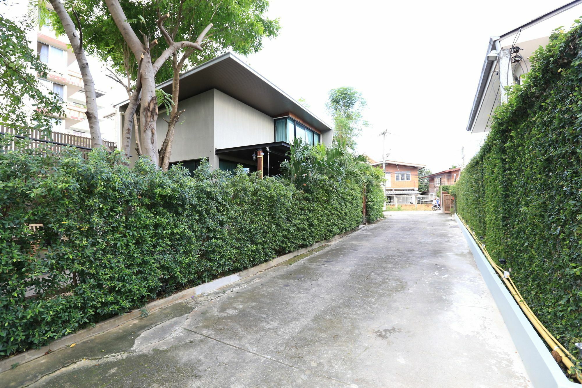 The White Elephant 3* Chiang Mai