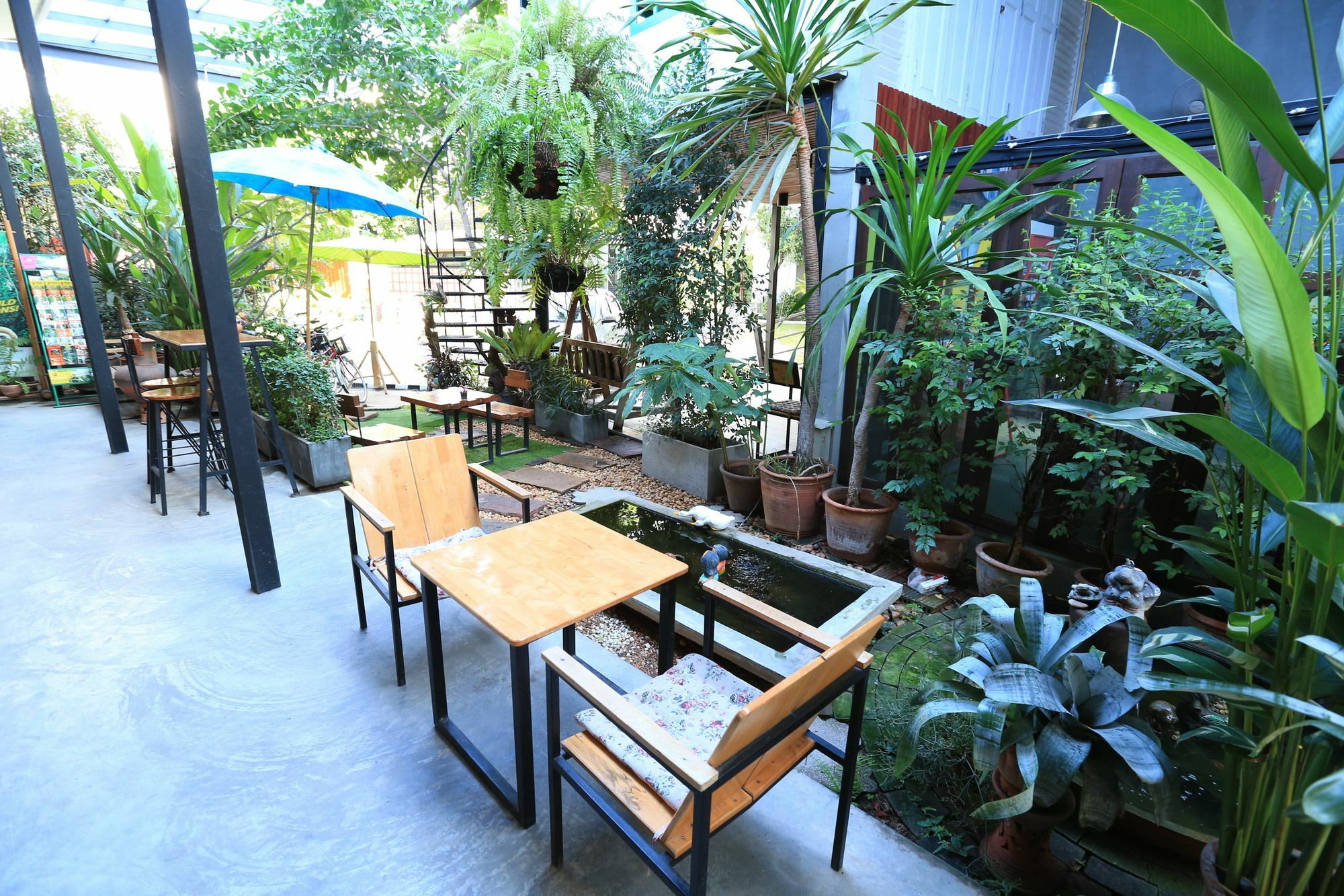 The White Elephant Guest house 3*