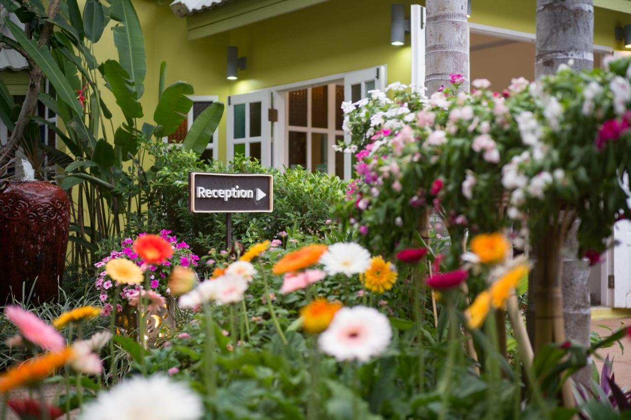 The Twenty 3* Chiang Mai
